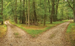 Image result for two separate paths
